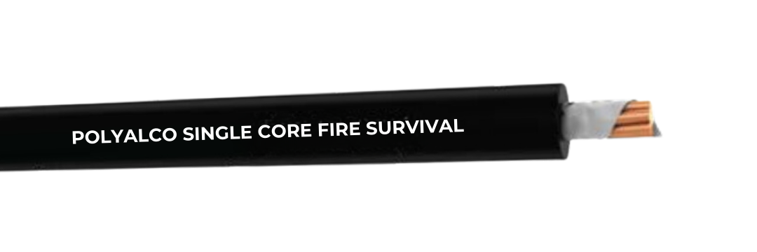 SINGLE CORE FIRE SURVIVAL