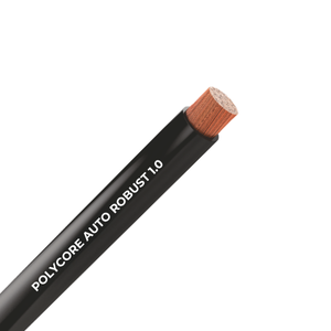 POLYCORE AUTO ROBUST 1.0